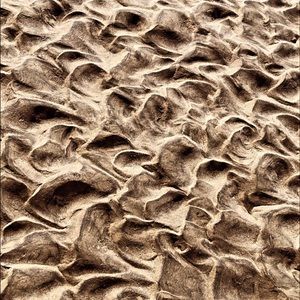 Meet your Posher, Monique